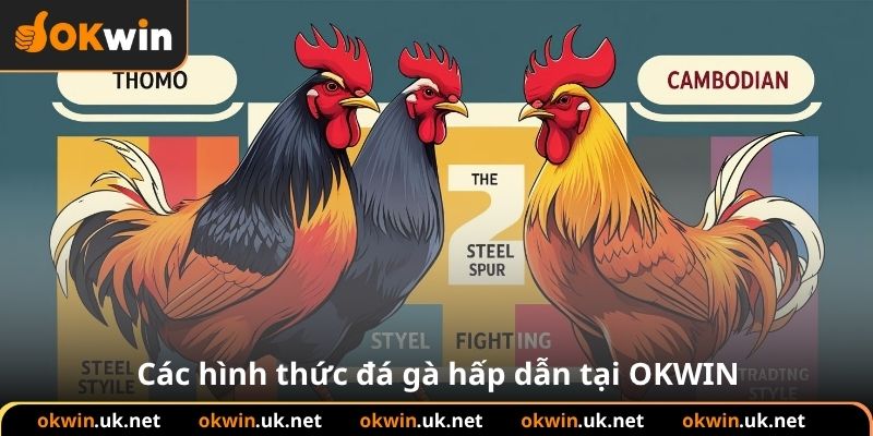 Các hình thức đá gà hấp dẫn tại OKWIN