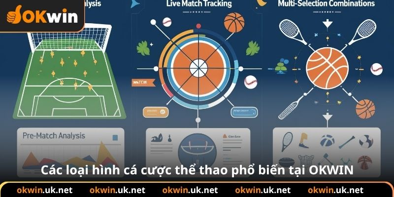 Các loại hình cá cược thể thao phổ biến tại OKWIN
